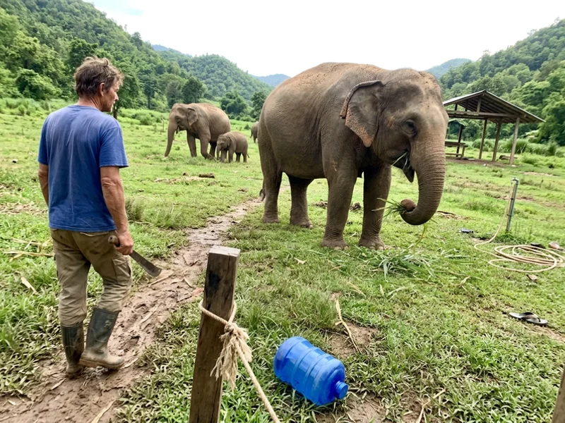 Day Trips & Nature in Chiang Mai, image 2